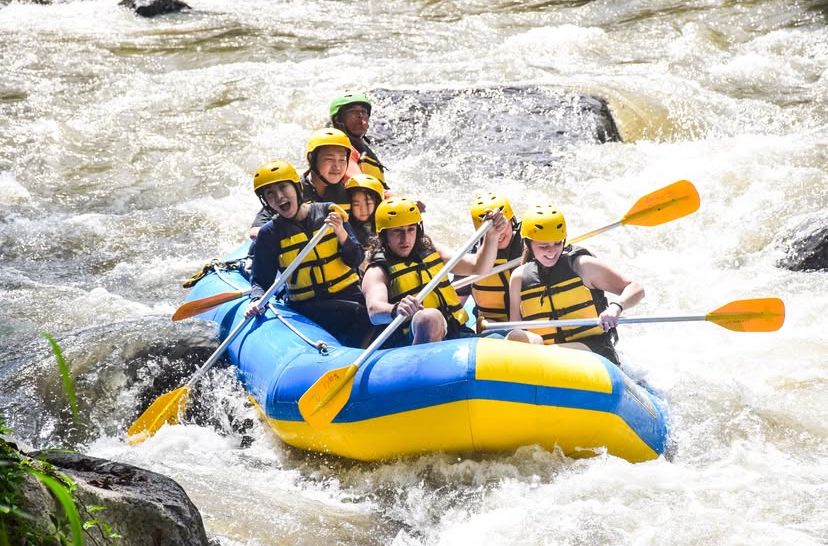 WhatsApp Image 2025-11-01 at 12.04.09