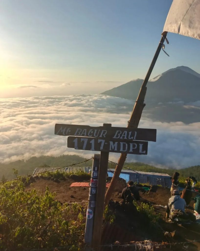 WhatsApp Image 2025-11-01 at 12.08.45